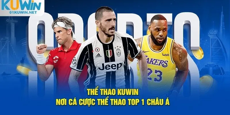 Thể Thao Kuwin – Điểm Đến Thu Hút 